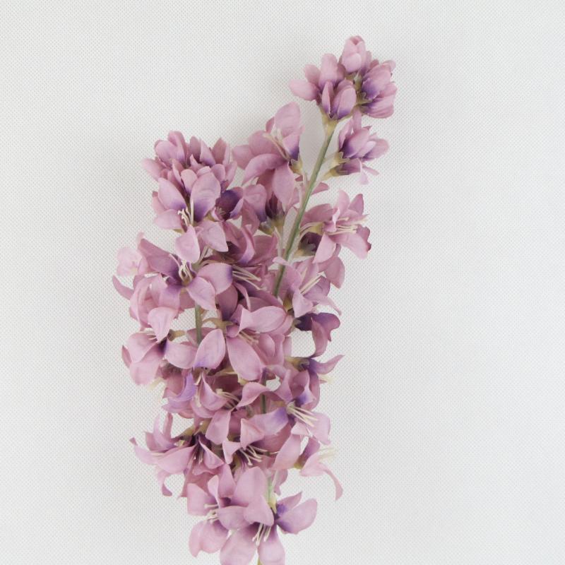 Lewkonia gałązka kwiaty fioletowe